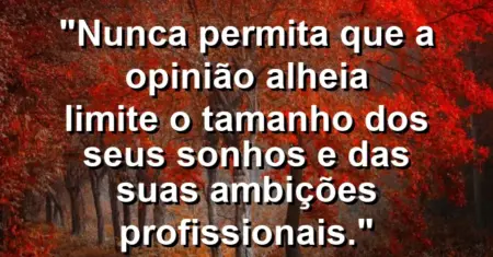 “Nunca permita que a opinião alheia limite o tamanho dos seus sonhos e das suas ambições profissionais.”