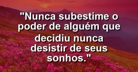 “Nunca subestime o poder de alguém que decidiu nunca desistir de seus sonhos.”