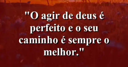 “O agir de Deus é perfeito e o seu caminho é sempre o melhor.”