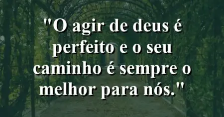 “O agir de Deus é perfeito e o seu caminho é sempre o melhor para nós.”
