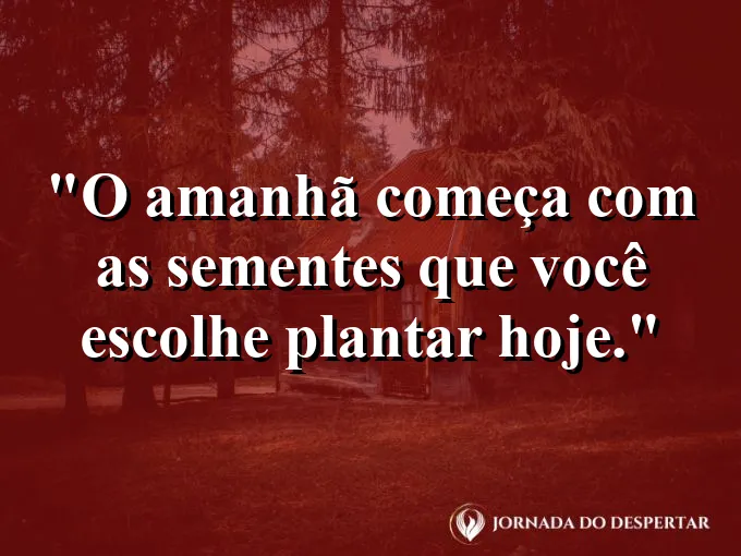 Mãos semeando terra fértil sob a luz suave da manhã.