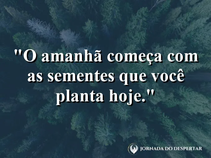Mãos semeando terra fértil sob a luz da manhã.