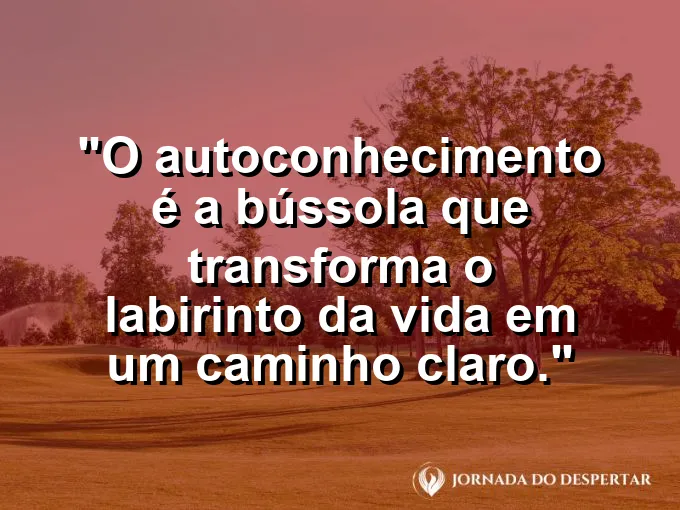Labirinto de arbustos visto de cima com uma luz no centro.