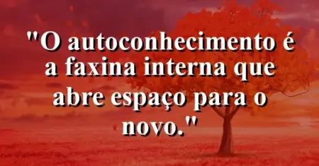 O autoconhecimento é a faxina interna que abre espaço para o novo.