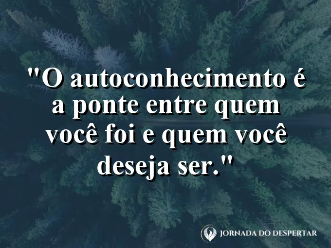 Uma ponte de madeira rústica atravessando um riacho na floresta.