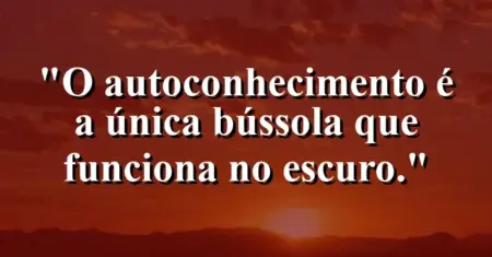 O autoconhecimento é a única bússola que funciona no escuro.