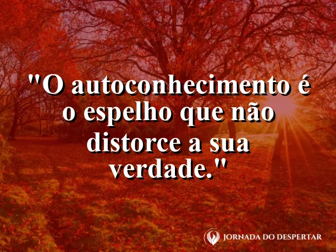 Um espelho de mão clássico refletindo uma flor de lótus.