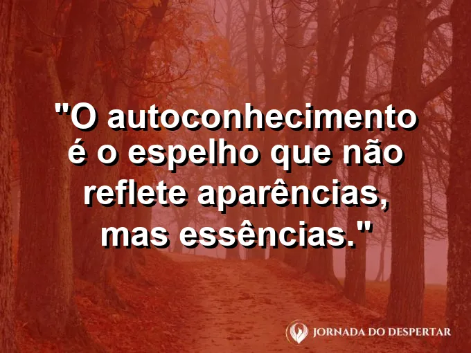 Um espelho de prata refletindo um jardim interno cheio de cores vibrantes.