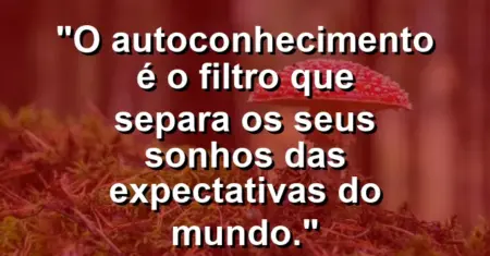 O autoconhecimento é o filtro que separa os seus sonhos das expectativas do mundo.