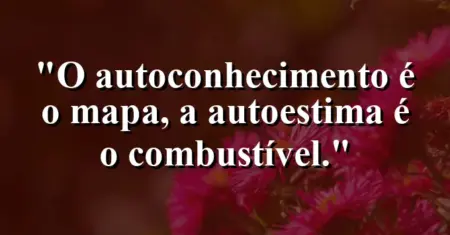 O autoconhecimento é o mapa, a autoestima é o combustível.