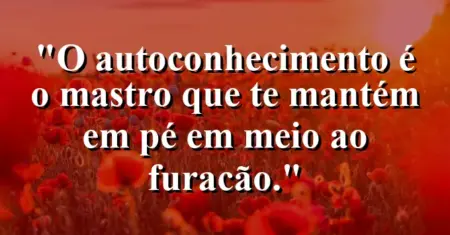 O autoconhecimento é o mastro que te mantém em pé em meio ao furacão.