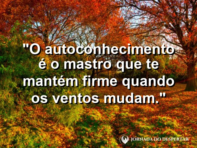 Mastro de um barco à vela cortando as ondas com determinação.