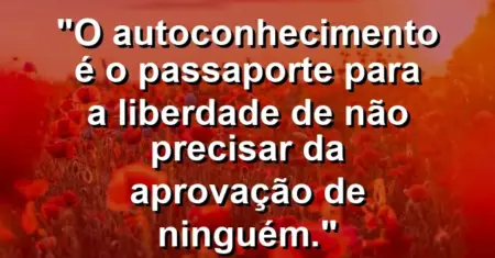 O autoconhecimento é o passaporte para a liberdade de não precisar da aprovação de ninguém.