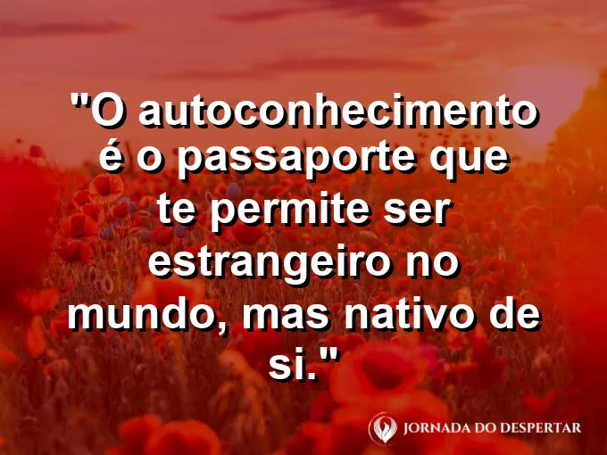 Uma mala de couro aberta com um livro e uma bússola de latão.
