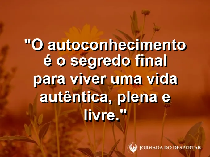 Uma pessoa de braços abertos no topo de uma montanha ao pôr do sol.