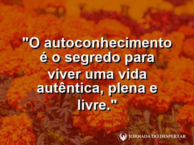 Pessoa de braços abertos no topo de uma montanha ao pôr do sol.