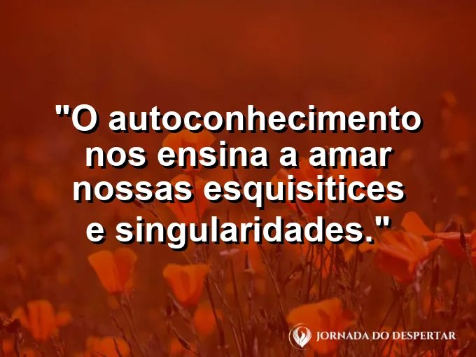 Uma pena colorida de pássaro exótico em contraste com um fundo neutro.