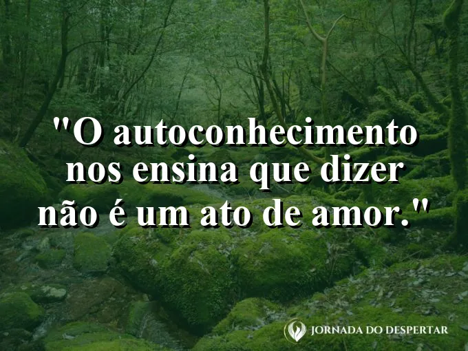 Uma mão aberta sinalizando um limite gentil e firme.