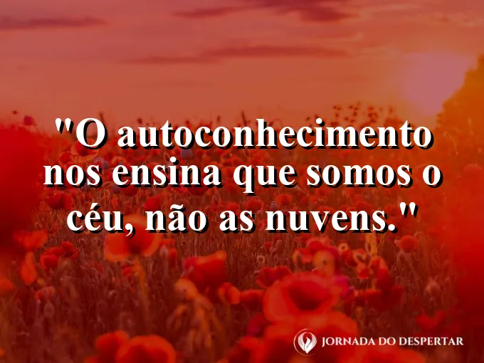 Um céu azul infinito visto através das copas das árvores.