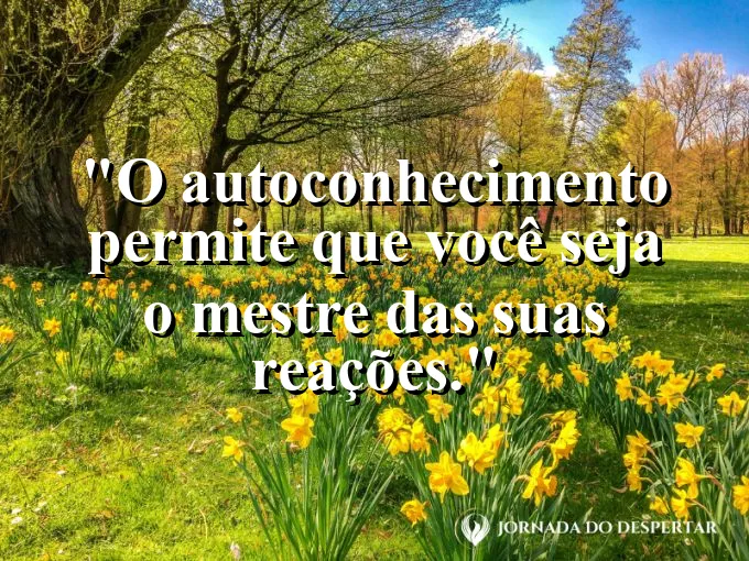 Um monge meditando em meio a uma cachoeira vibrante.