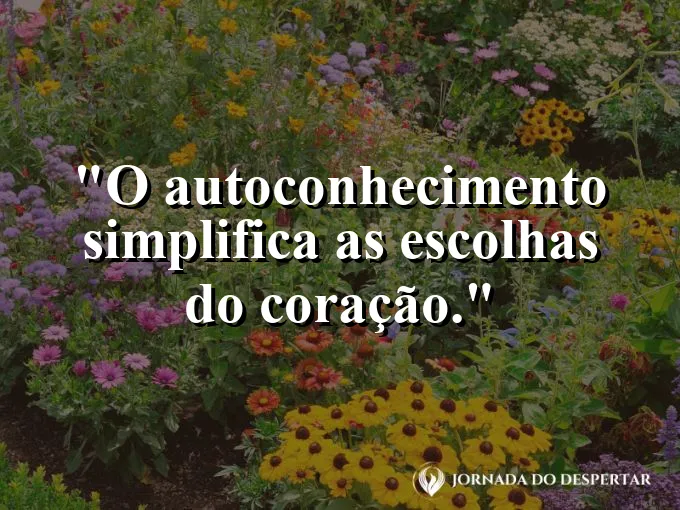 Uma estrada que se divide em duas com uma sinalização clara.