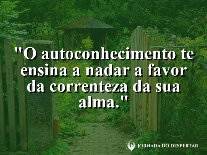 Rio de águas claras correndo livremente por entre pedras.