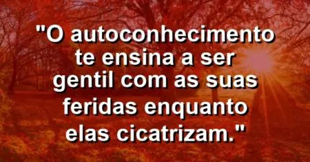 O autoconhecimento te ensina a ser gentil com as suas feridas enquanto elas cicatrizam.