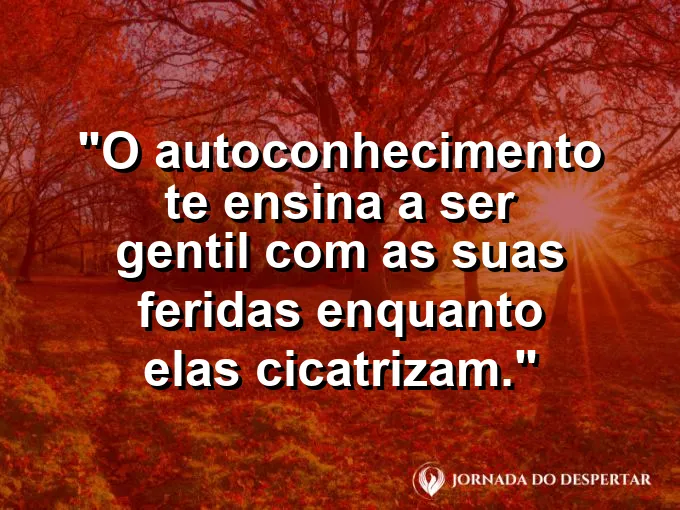 Uma gaze de seda cobrindo delicadamente uma planta em crescimento.