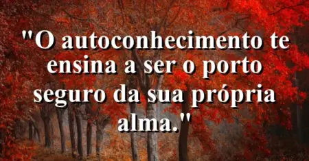 O autoconhecimento te ensina a ser o porto seguro da sua própria alma.