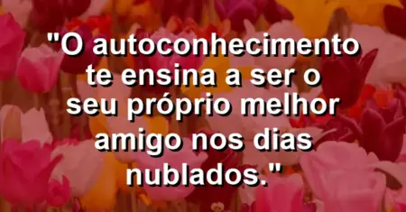 O autoconhecimento te ensina a ser o seu próprio melhor amigo nos dias nublados.