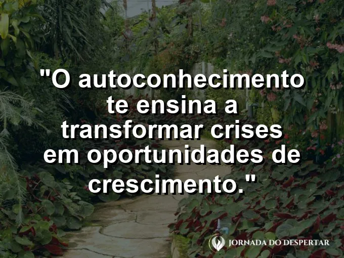 Uma pequena planta brotando de uma terra seca e rachada.