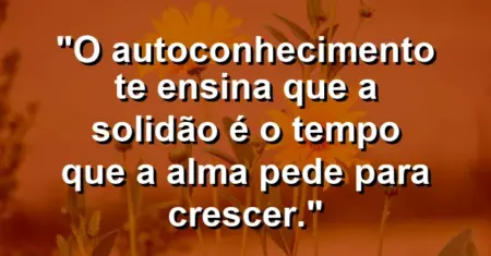 O autoconhecimento te ensina que a solidão é o tempo que a alma pede para crescer.