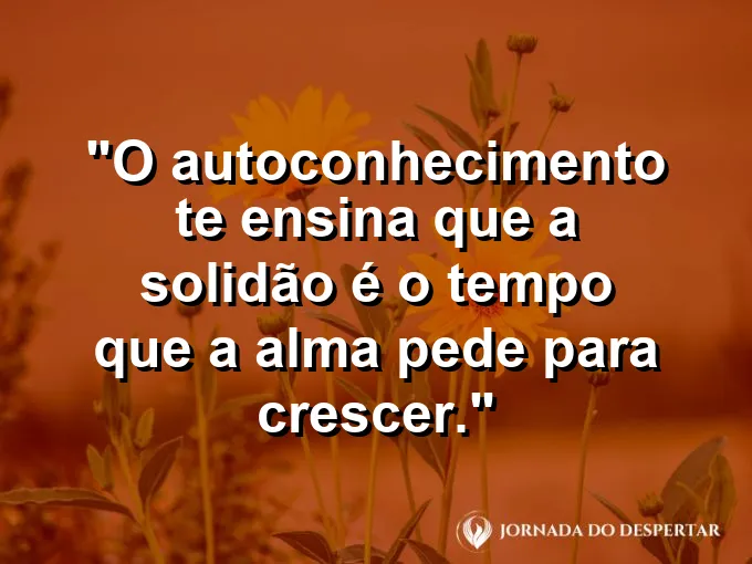 Uma pessoa meditando ao lado de uma árvore secular sob o sol.