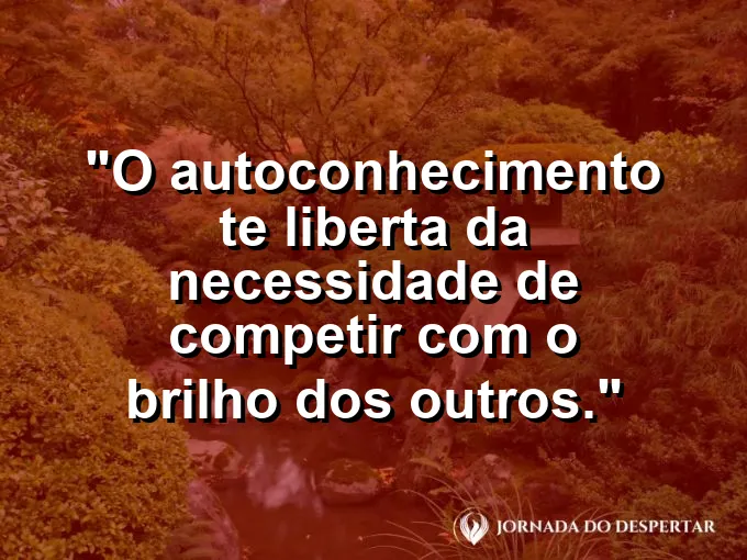 Dois caminhos diferentes em uma floresta, ambos belos e únicos.