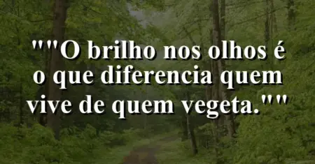 “O brilho nos olhos é o que diferencia quem vive de quem vegeta.”