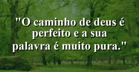“O caminho de Deus é perfeito e a sua palavra é muito pura.”