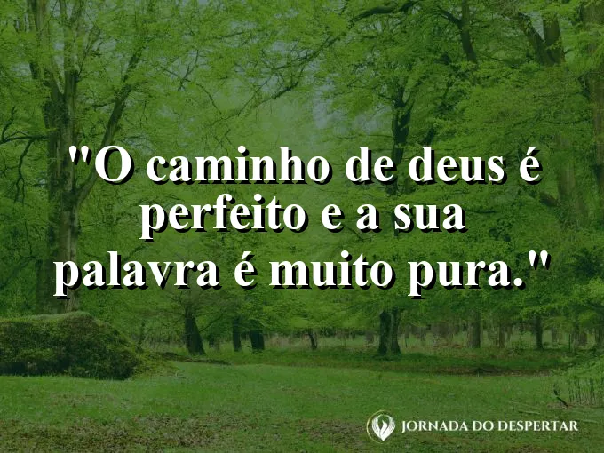 Bíblia aberta com uma lupa ressaltando o texto e frase sobre a perfeição do caminho.
