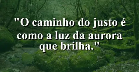 “O caminho do justo é como a luz da aurora que brilha.”