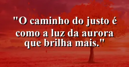 “O caminho do justo é como a luz da aurora que brilha mais.”