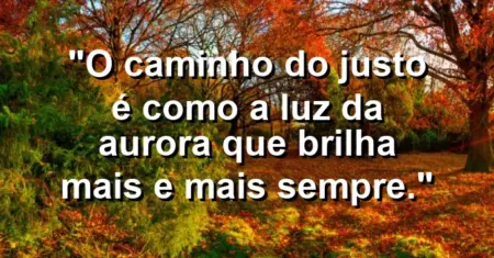 “O caminho do justo é como a luz da aurora que brilha mais e mais sempre.”