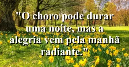 “O choro pode durar uma noite, mas a alegria vem pela manhã radiante.”