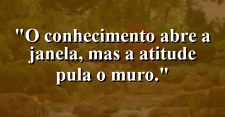O conhecimento abre a janela, mas a atitude pula o muro.