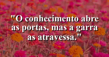 O conhecimento abre as portas, mas a garra as atravessa.