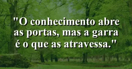 O conhecimento abre as portas, mas a garra é o que as atravessa.