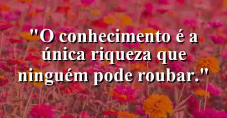 O conhecimento é a única riqueza que ninguém pode roubar.