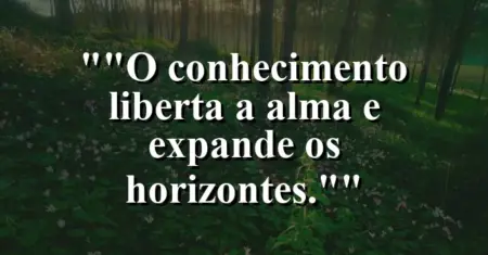 “O conhecimento liberta a alma e expande os horizontes.”