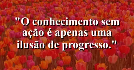 O conhecimento sem ação é apenas uma ilusão de progresso.
