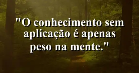 O conhecimento sem aplicação é apenas peso na mente.