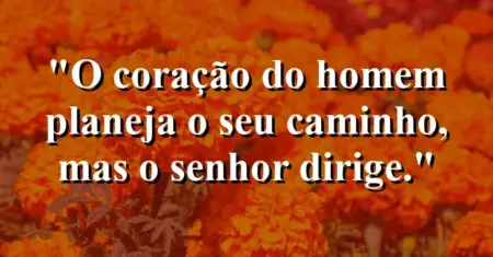 “O coração do homem planeja o seu caminho, mas o Senhor dirige.”
