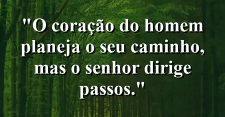 “O coração do homem planeja o seu caminho, mas o Senhor dirige passos.”